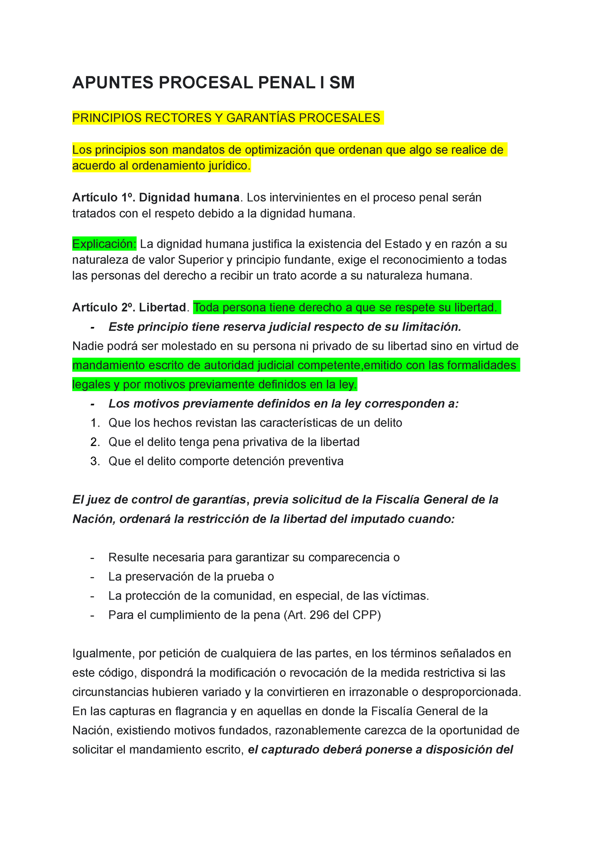 Apuntes DE Procesal Penal 1 - APUNTES PROCESAL PENAL I SM PRINCIPIOS ...