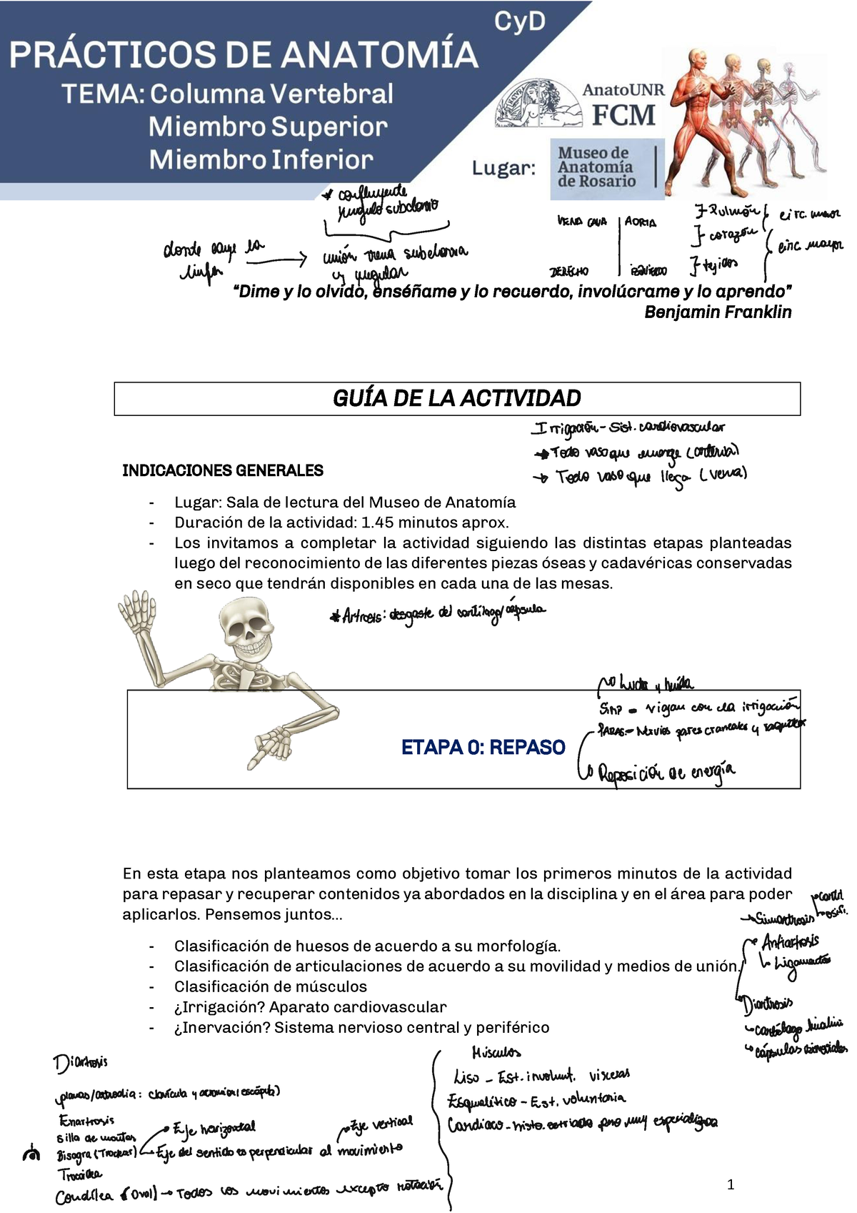 Pr Ctico-anatom A - Material Práctico