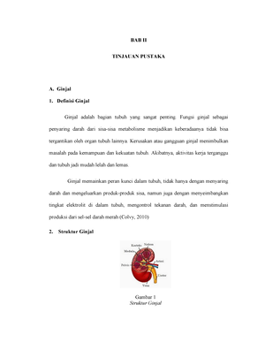 Surat Lamaran - Berguna Untuk Vokin LamRan Kerja - Mata Kuliah ...