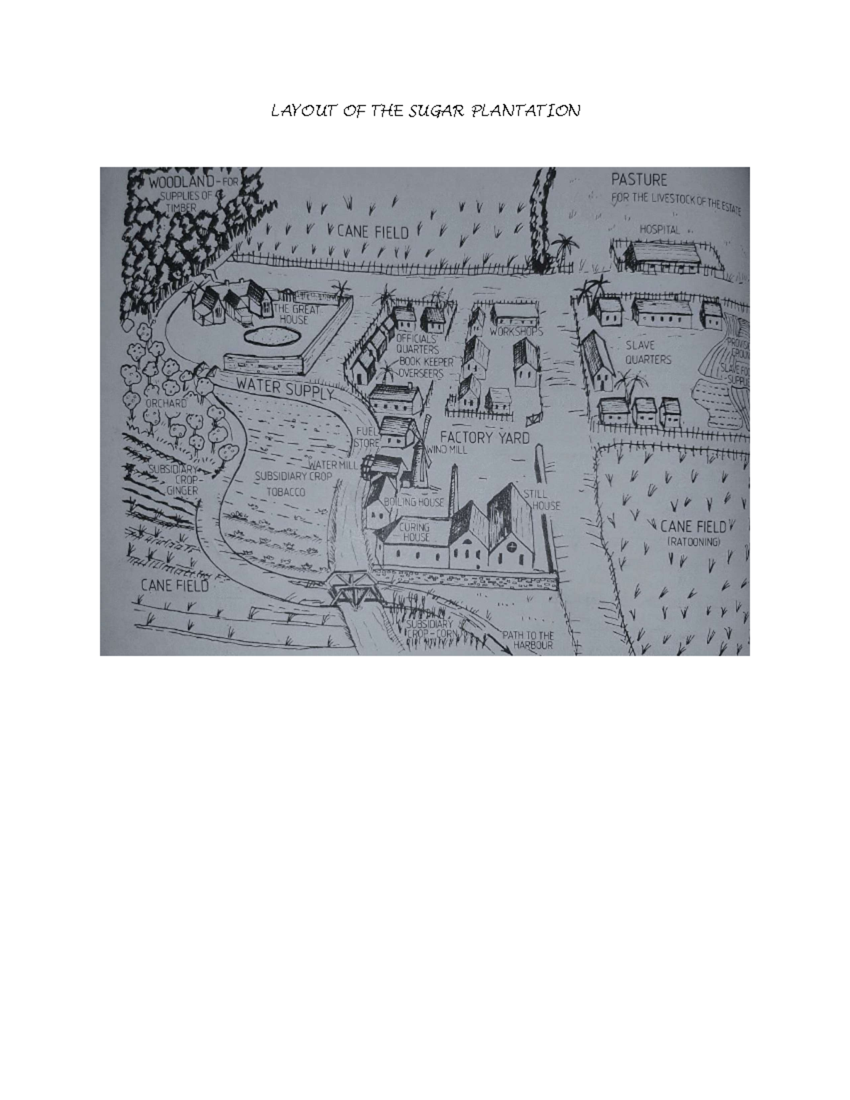 Layout OF THE Plantation - LAYOUT OF THE SUGAR PLANTATION PASTURE ...