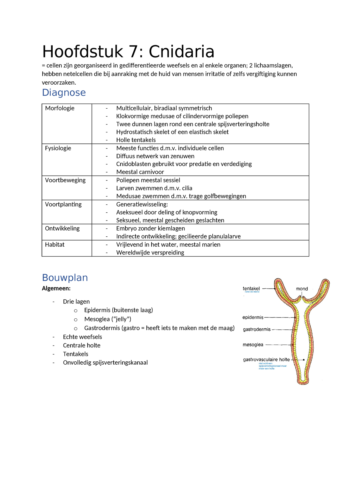 Hoofdstuk 7 - Samenvatting Dierkunde - Hoofdstuk 7: Cnidaria = Cellen ...