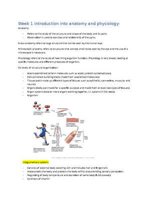 Endocrine system learning objectives and summary points - Learning ...