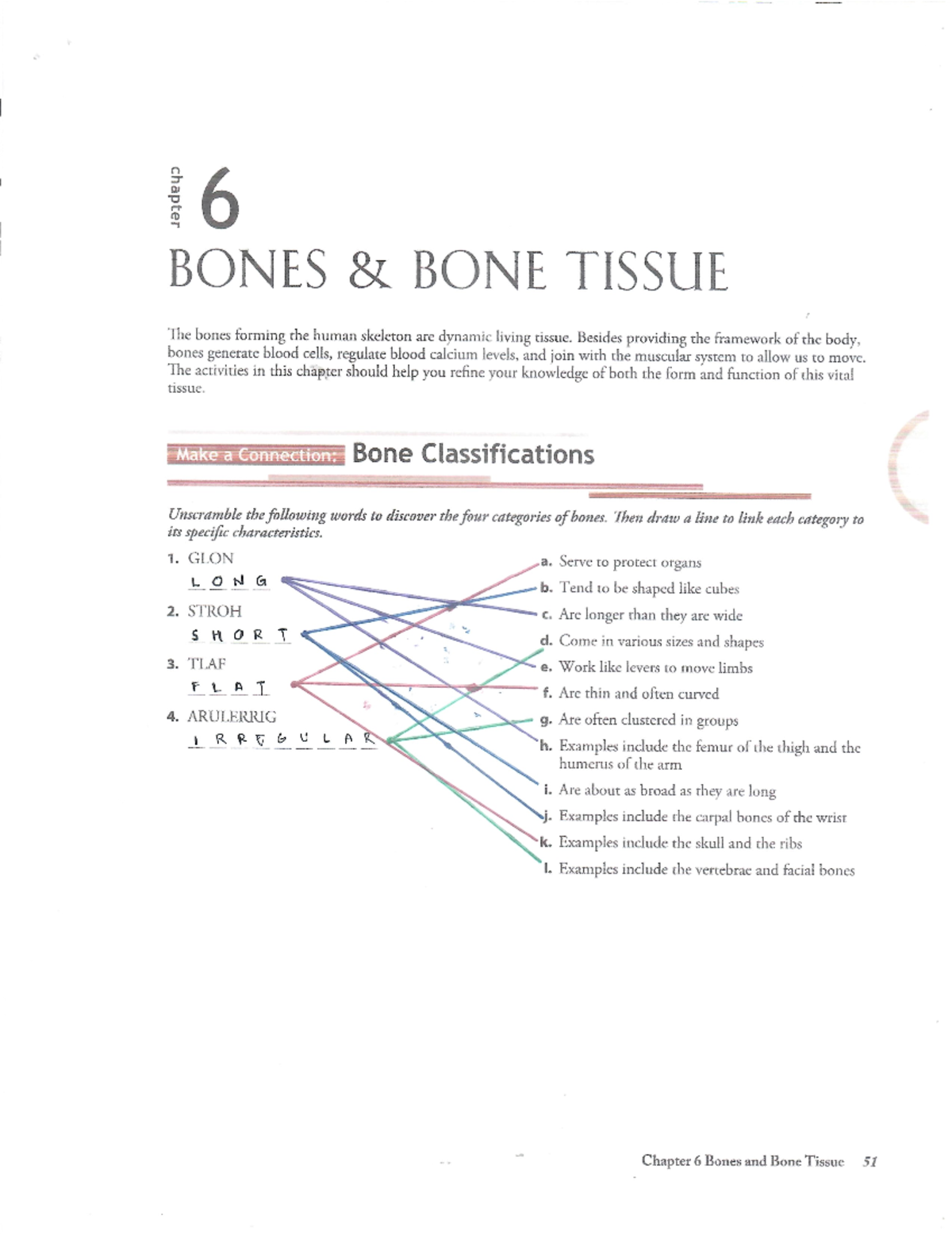 Rapadas Bones - None - Science, Environment And Society - Studocu