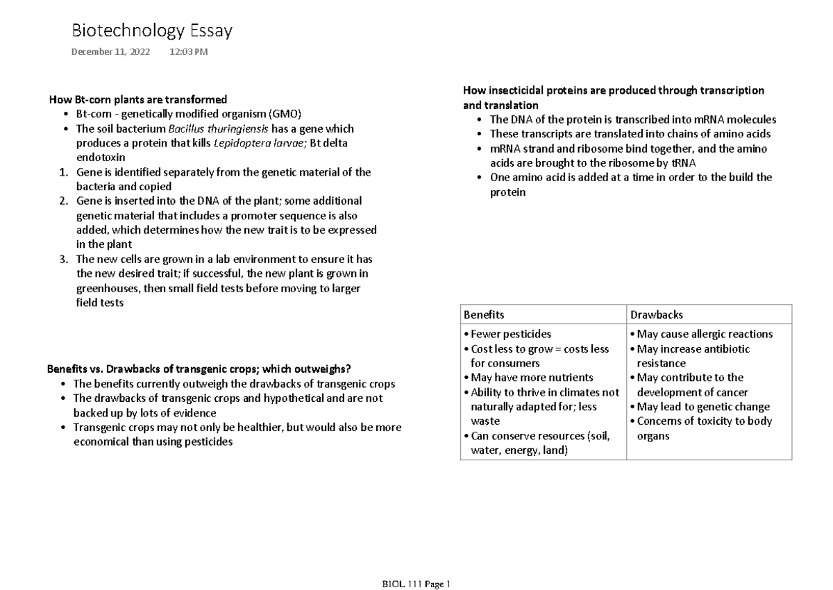 Biotechnology Essay How Btcorn plants are transformed Btcorn
