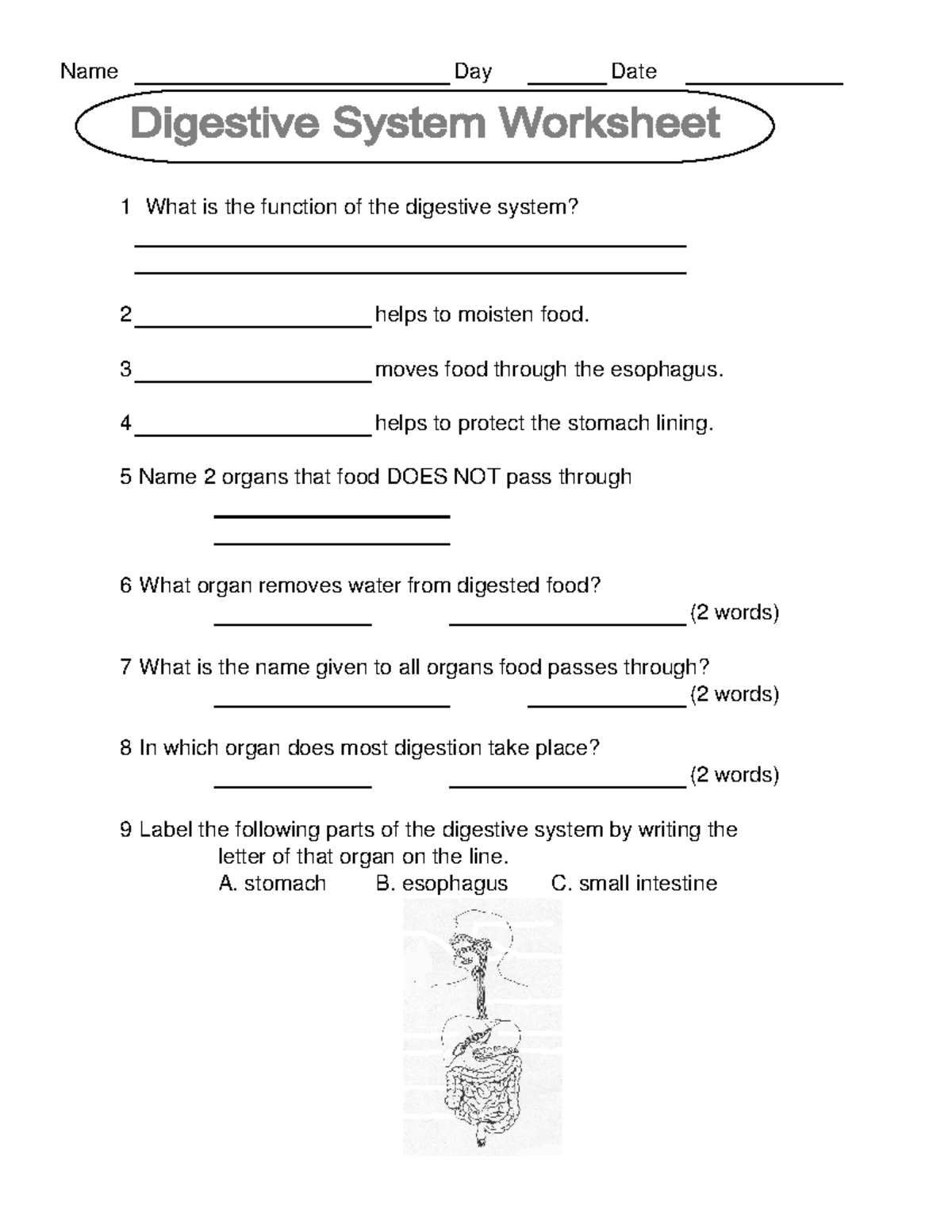 9 digestive system worksheet - Name Day Date 1 What is the function of ...