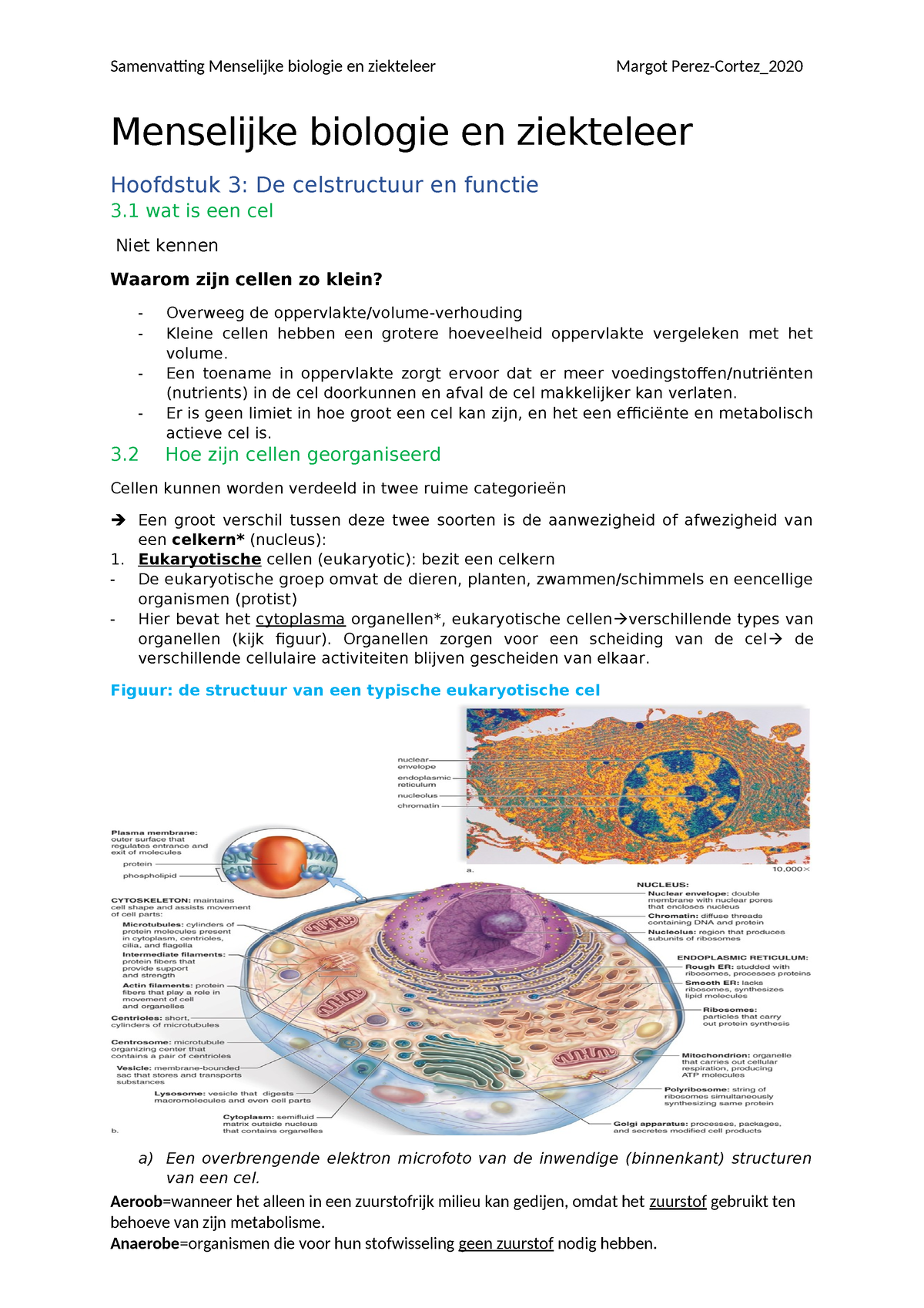 Hoofdstuk 3+4 - Samenvatting Human Biology - Menselijke Biologie En ...