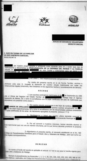 Formato de Divorcio Unilateral en el Estado de Hidalgo - Actorvs
