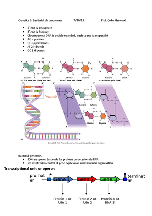 Introduction To Genetics And Genomics - Studocu