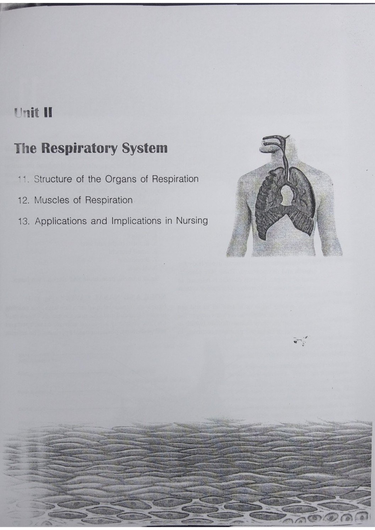 The Respiratory System - Bsc Nursing - Studocu