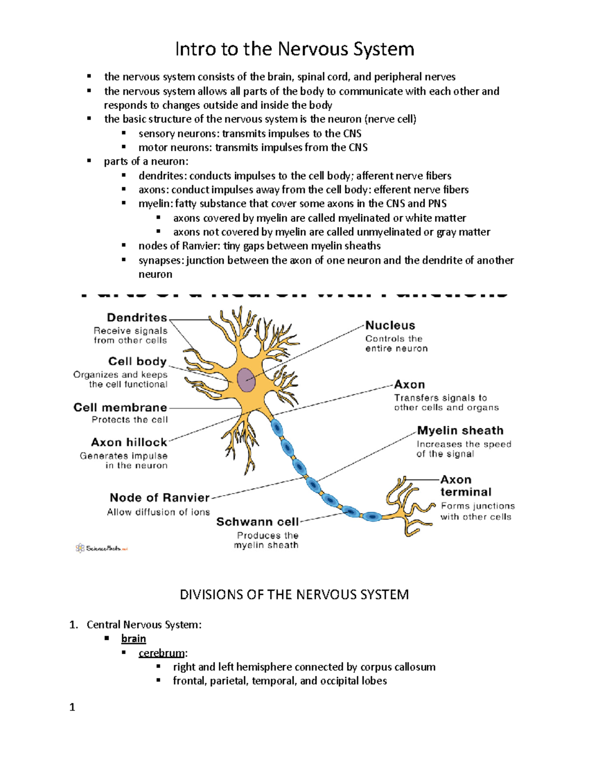 Chapter 36 Notes - Neuro - the nervous system consists of the brain ...