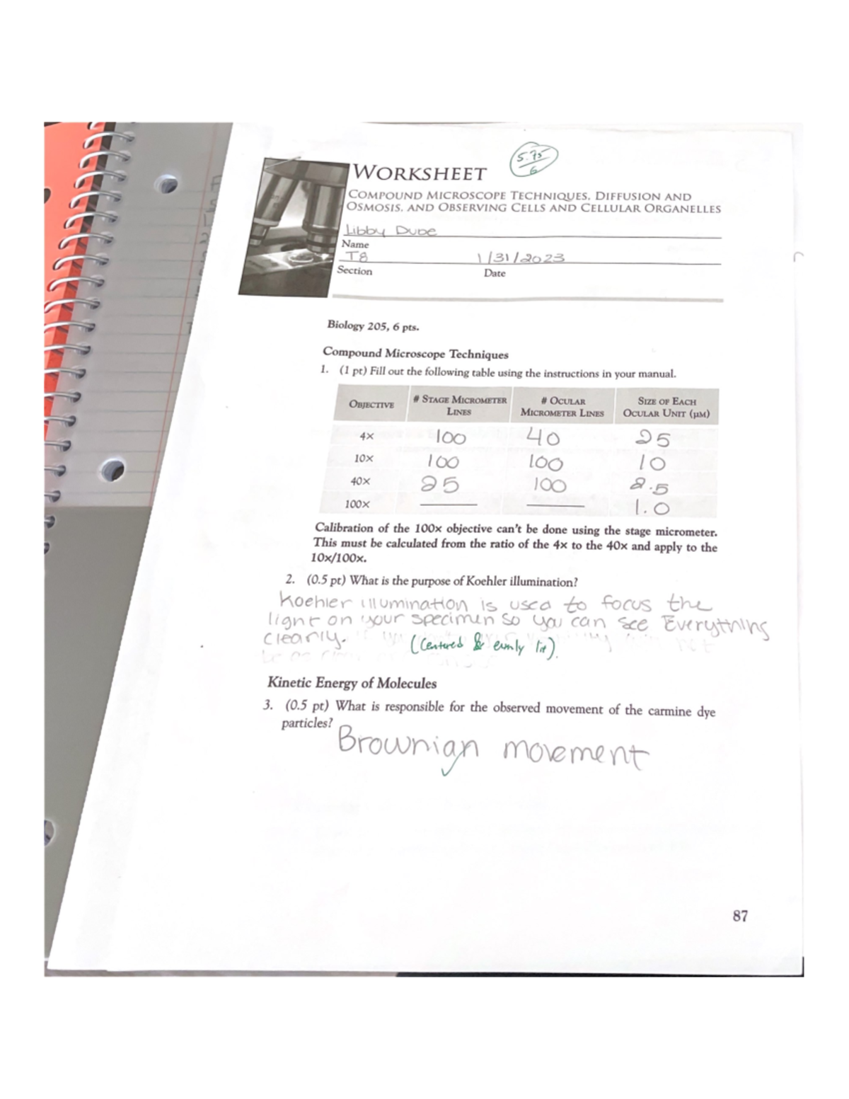 Compound Microscope Techniques, Diffusion AND BIOL 205 Studocu