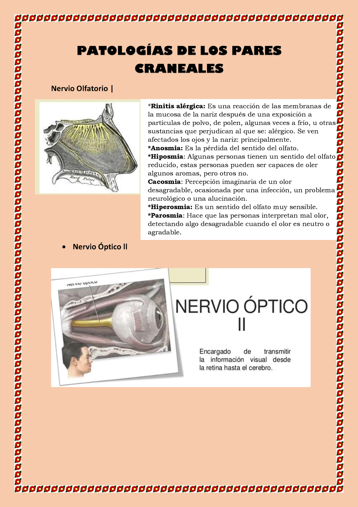 Patología S De Los Pares Craneales PatologÕas De Los Pares Craneales Nervio Olfatorio