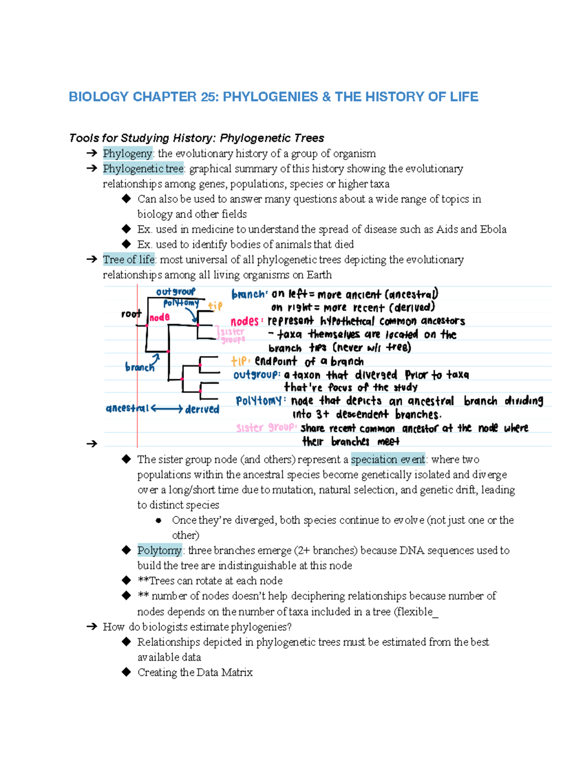 Biology 1m03 Chapter 25 Phylogenies The History Of Life Biology Chapter 25 Phylogenies 1865