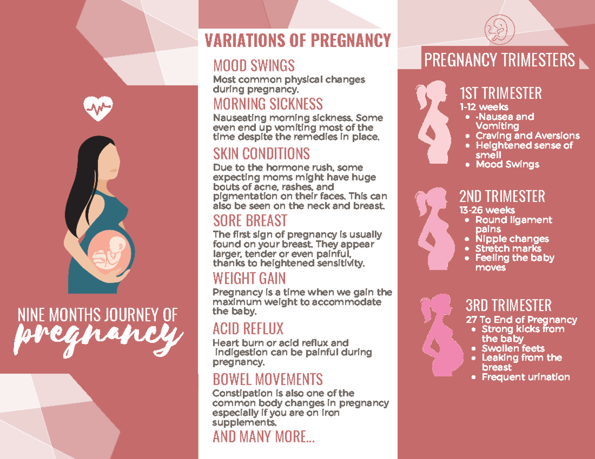 Nine months journey of pregnancy - PREGNANCY TRIMESTERS VARIATIONS OF ...