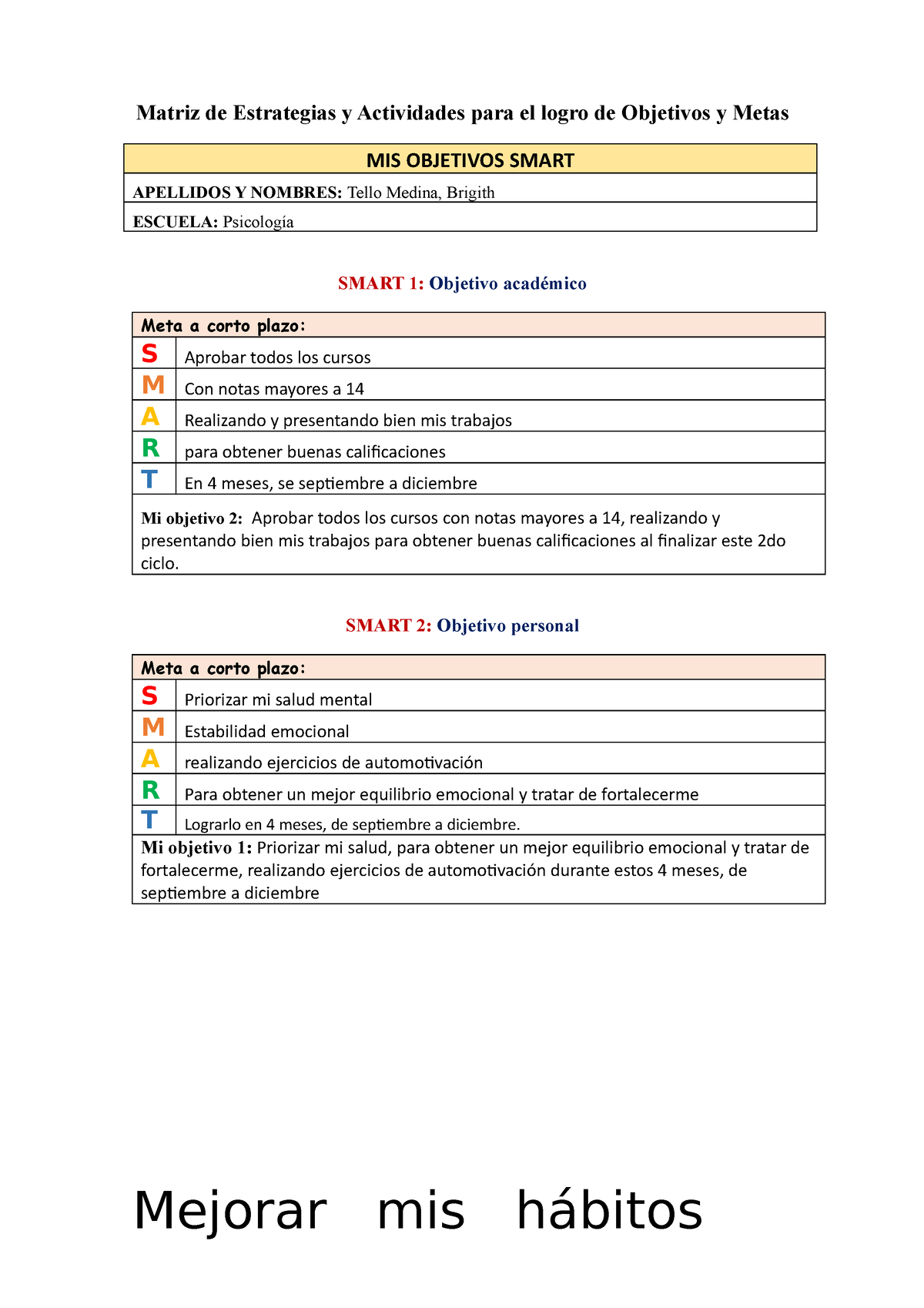 MIS Objetivos Smart - Holi - Matriz De Estrategias Y Actividades Para ...