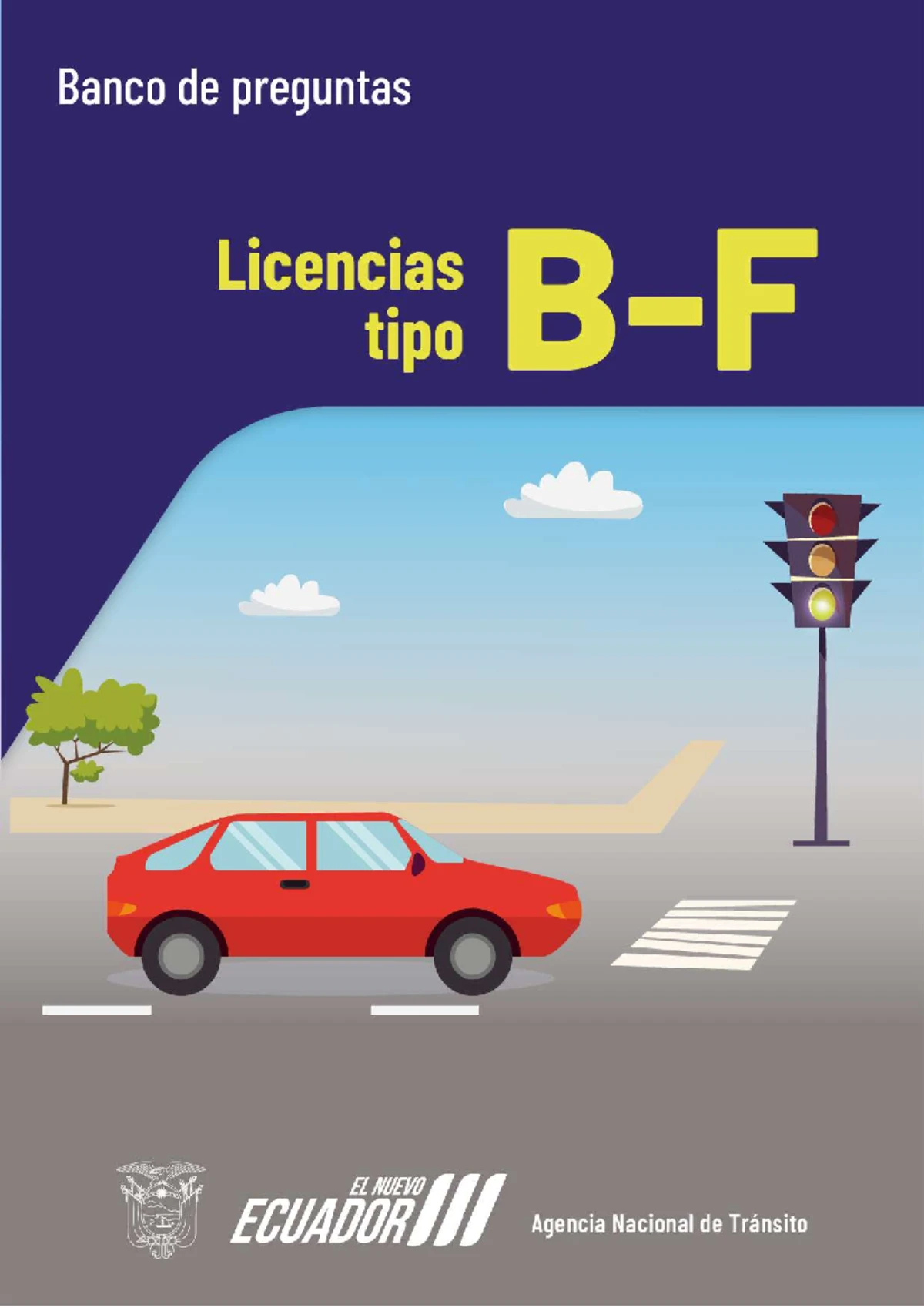 Cuestionario De Preguntas Para Obtencion De Licencia No Profesional ...