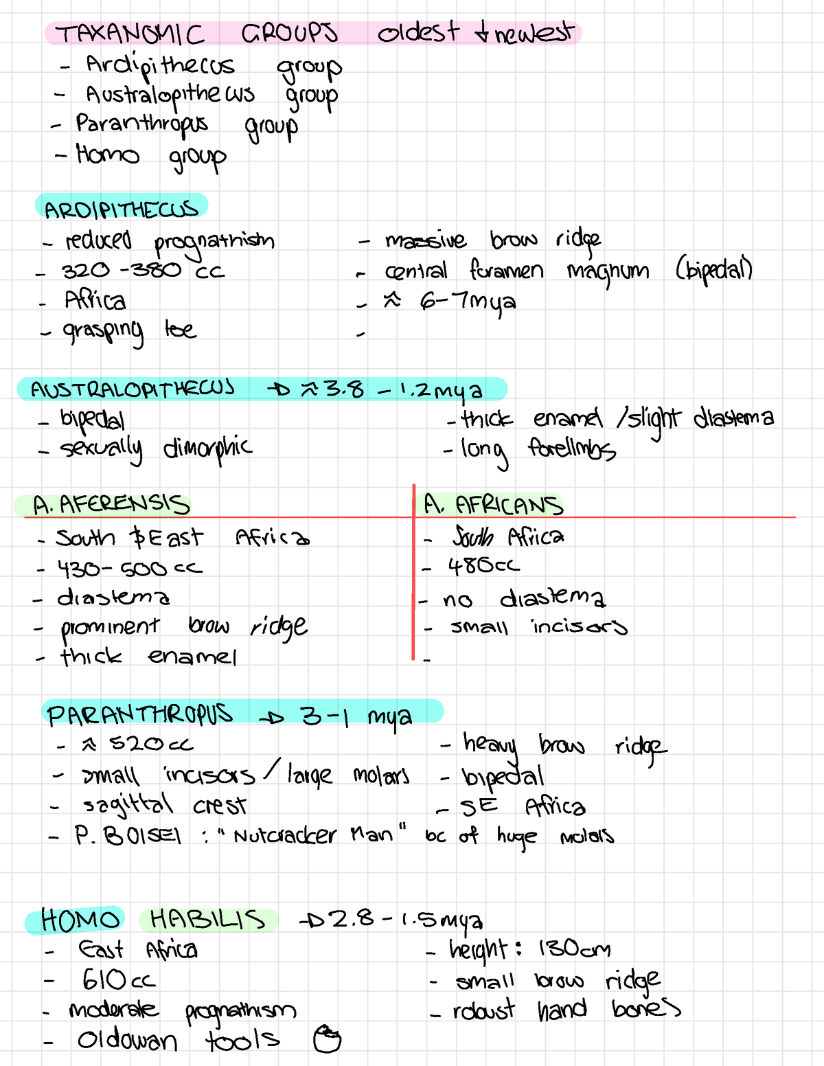 Human Evolution - Notes - TAXANOMIC GROUPS Oldest & Newest ...