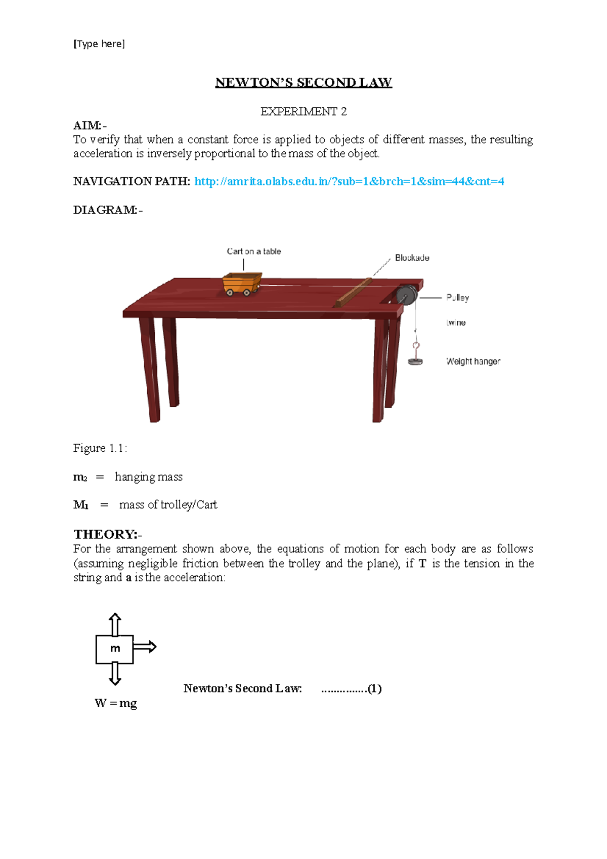 Experiment 2 - Newton's Second Law (1) - Copy - [Type Here] NEWTON’S ...