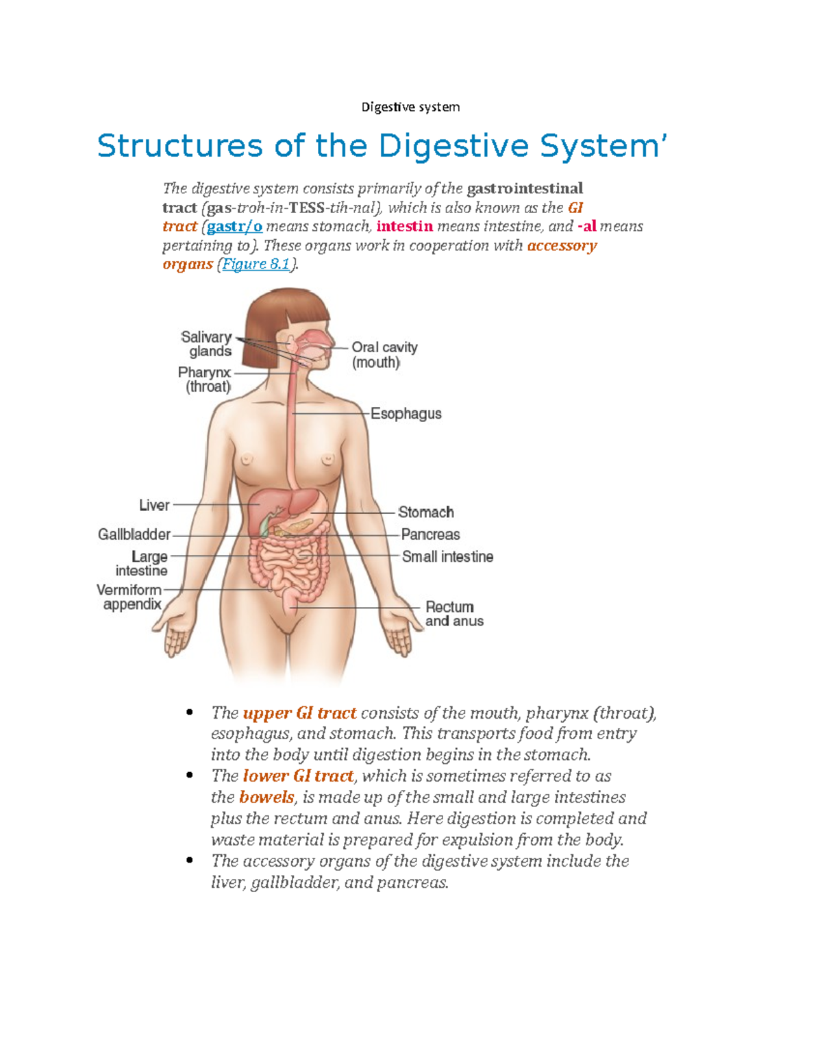 Chapter 8 - hcc med term - notes - Digestive system Structures of the ...