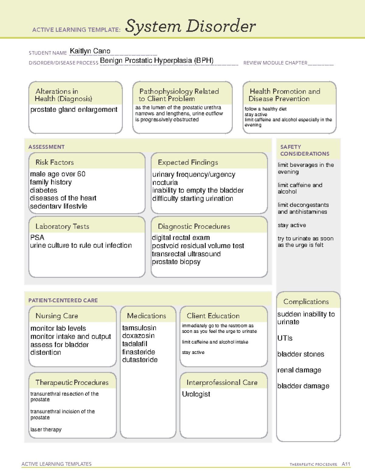 BPH Template ACTIVE LEARNING - Thumb 1200 1553 