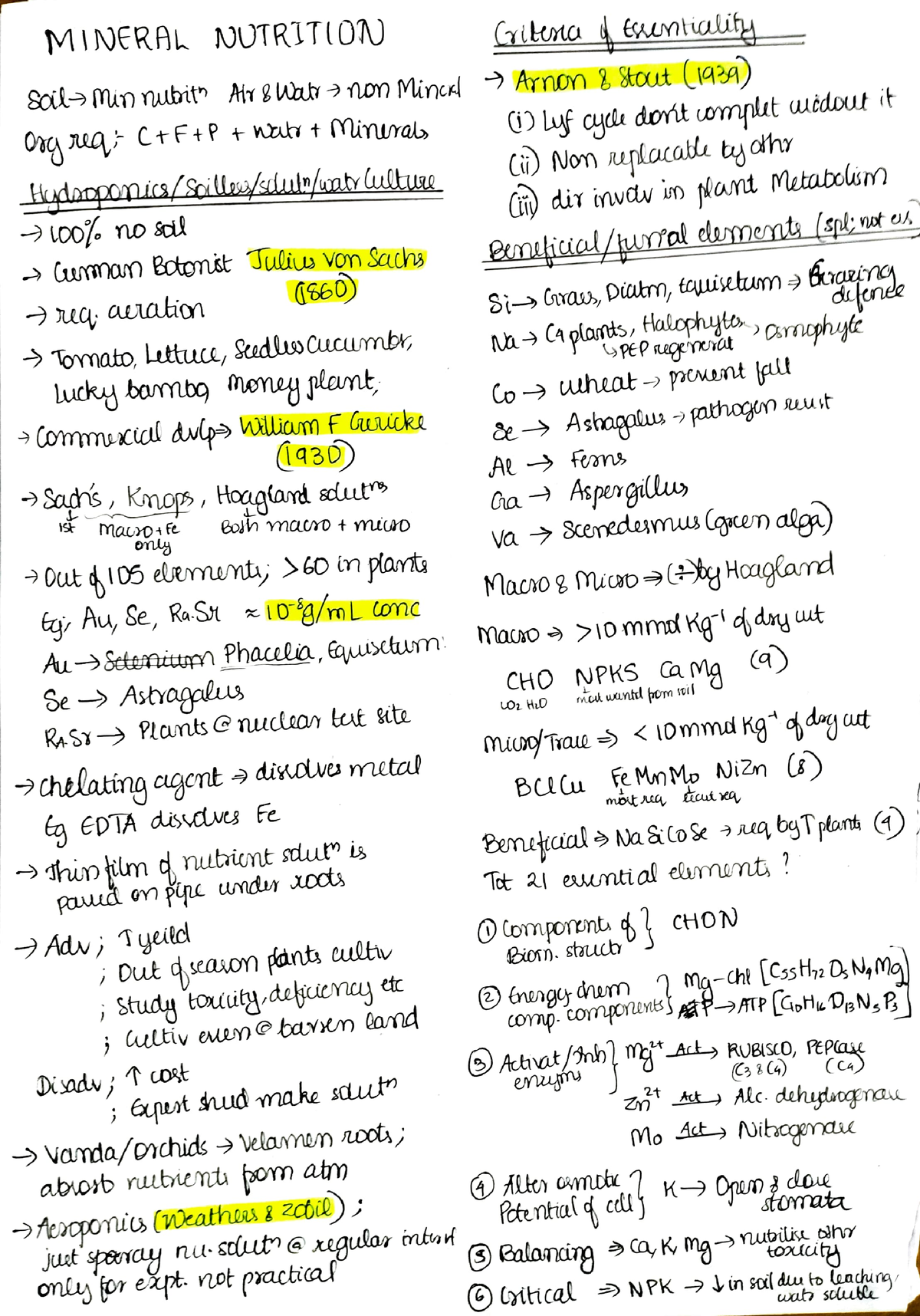 Mineral Nutrition - Handwritten Short Notes For NEET Aspirants ...