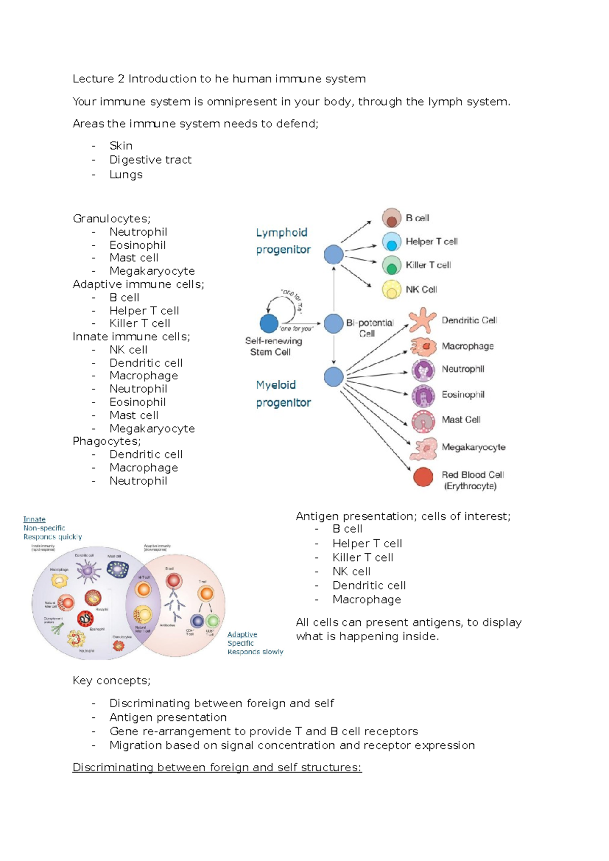 Introduction to human immunology lectures - Lecture 2 Introduction to ...