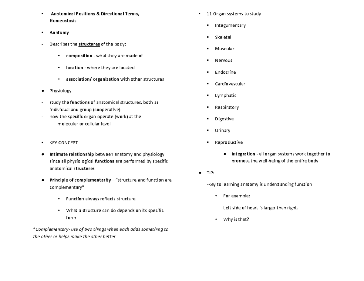 Anatomical Positions & Directional ... Biology Diagrams