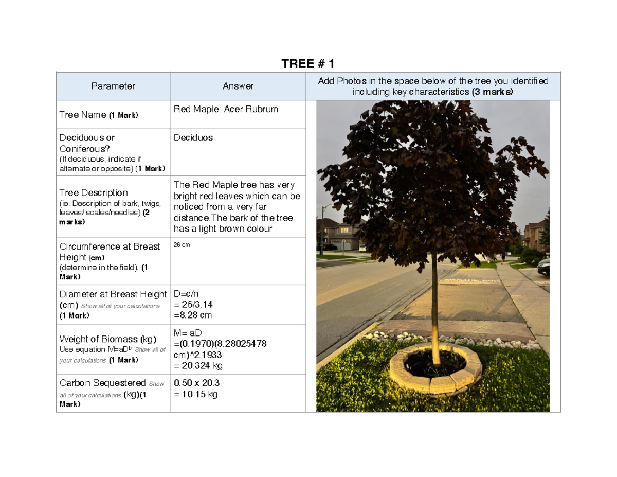 Practical Assignment 2 Neighbourhood Tree ID TREE 1 Parameter