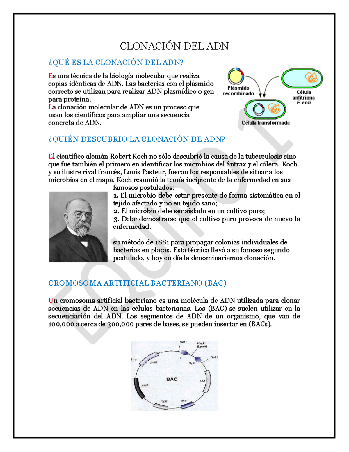 Clonacion del ADN en bacterias CLONACIÓN DEL ADN ¿QUÉ ES LA CLONACIÓN