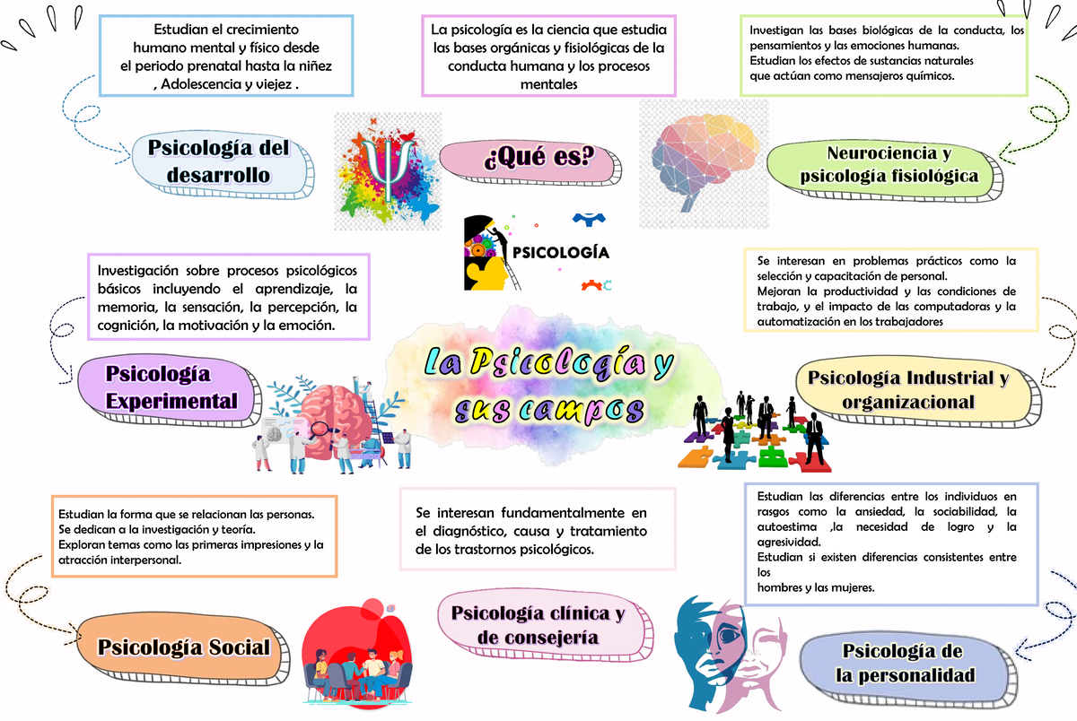 La psicologia y sus campos - La psicología es la ciencia que estudia