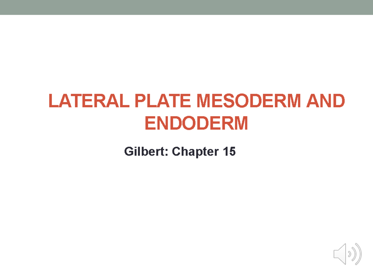 123 Lateral plate mesoderm and endoderm - LATERAL PLATE MESODERM AND ...