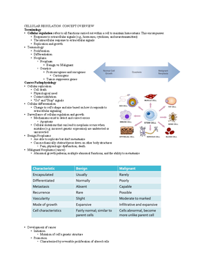 Week 7 Lecture notes - Intracranial Regulation: concept overview ...