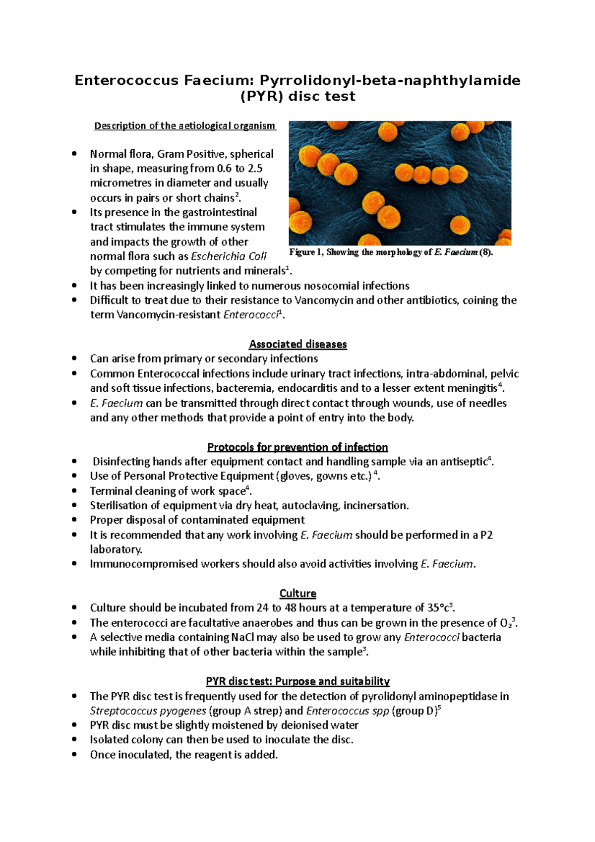 Enterococcus Faecium: PYR test - Enterococcus Faecium: (PYR) disc test ...