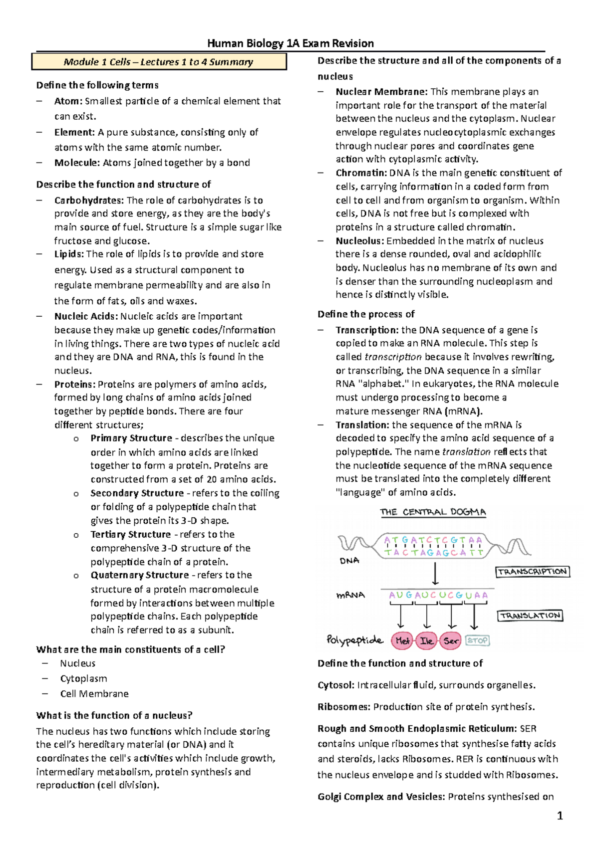 Human Bio 1A - Summary Molecular Biology - Human Biology 1A Exam ...