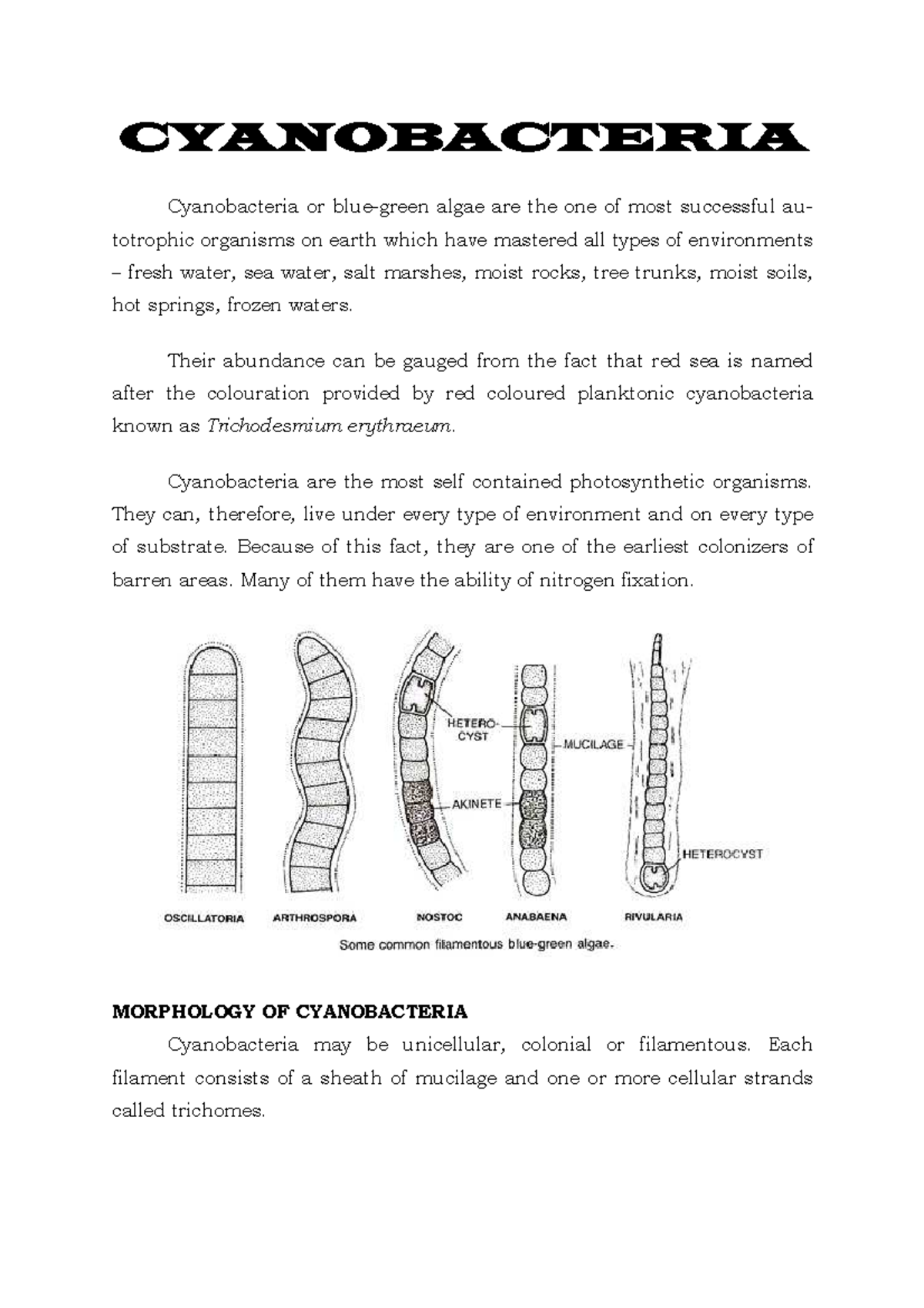 Cyanobacteria Simple notes CYANOBACTERIA Cyanobacteria or bluegreen algae are the one of