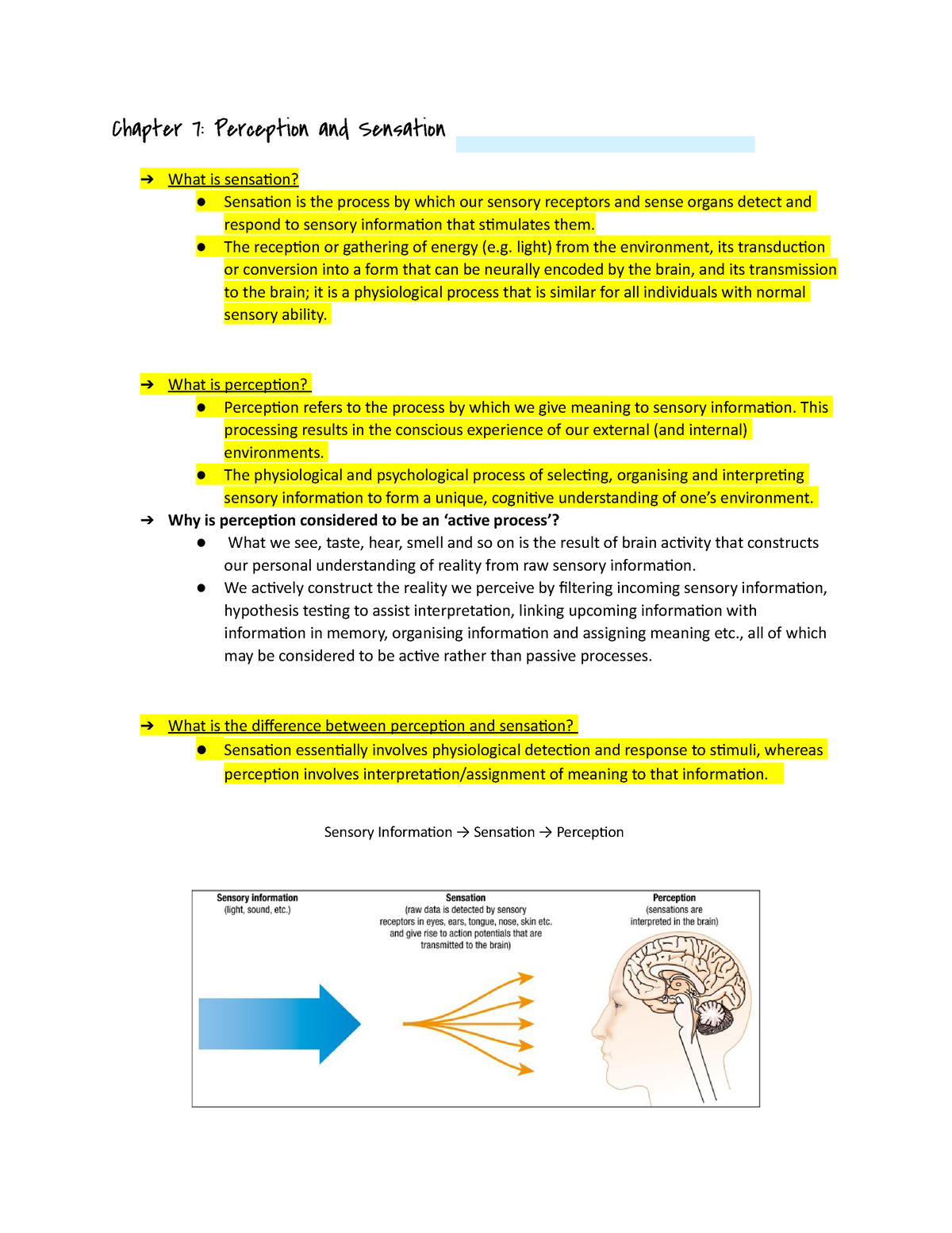 unit-2-psychology-revision-chapter-7-perception-and-sensation-what