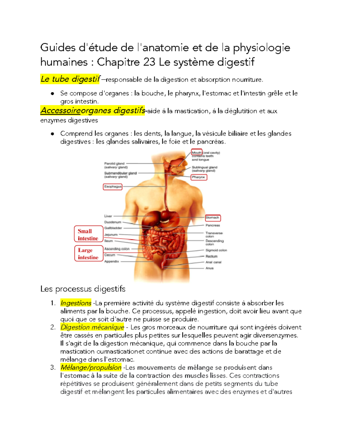 Guides D'étude De L'anatomie Et De La Physiologie Humaines Chapitre 23 ...