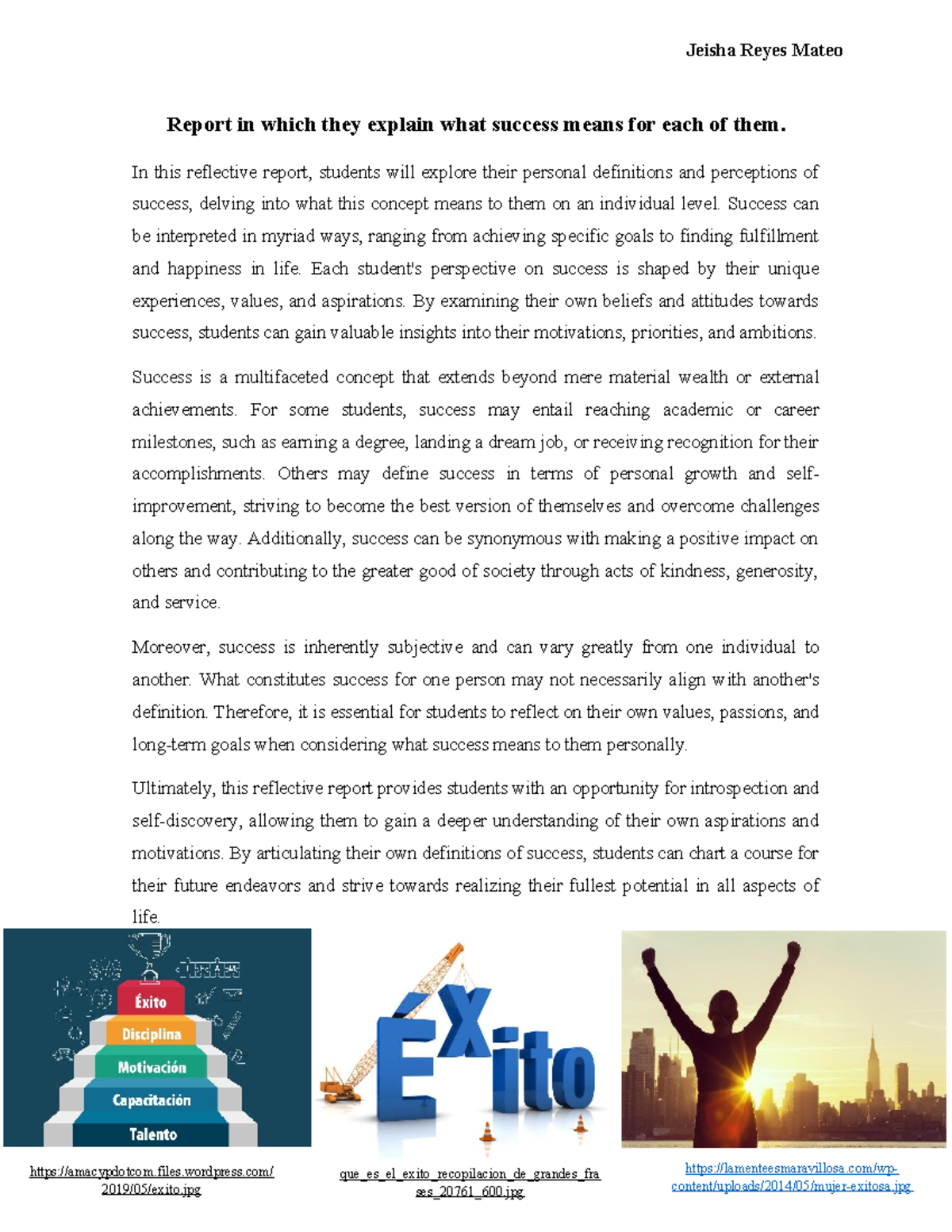 Report in which they explain what success means for each of them - In ...