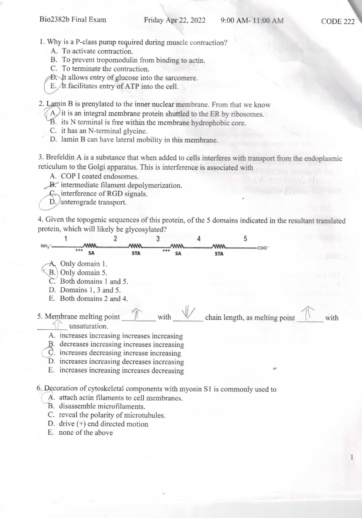 2022 Exam - FINAL EXAM - Biology 2581B - Studocu