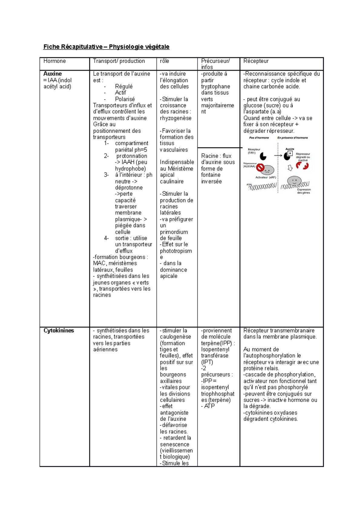 Fiche Récapitulative PHY V L1 - Fiche Physiologie Hormone Production ...