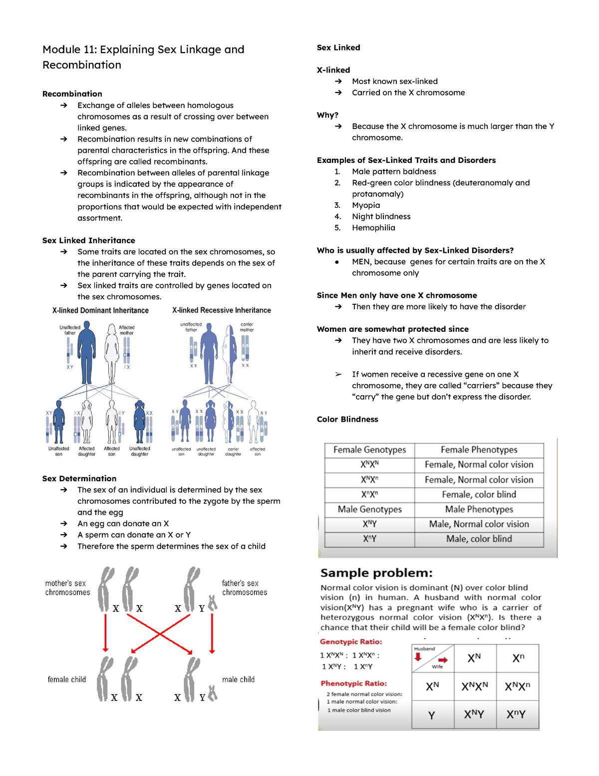 Biology Reviewer Biology Reviewer Module 11 Explaining Sex Linkage