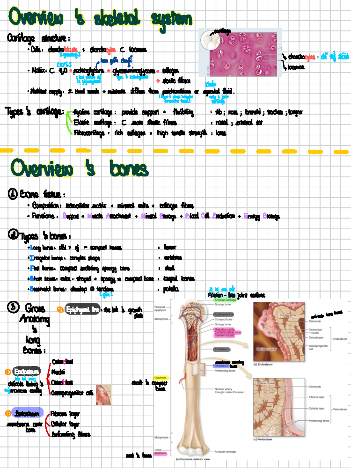 Module 3 - Notes in class - e · · - E -x S - ~ 8 o I M · G >E · ~ 8 ...