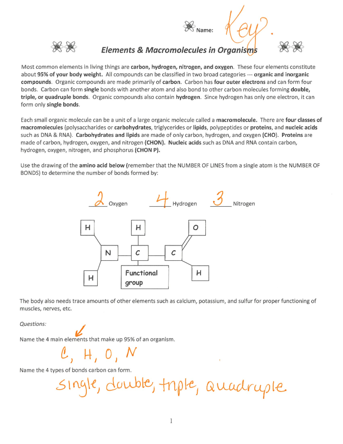 the-six-elements-found-in-organisms-video-lesson-transcript-study