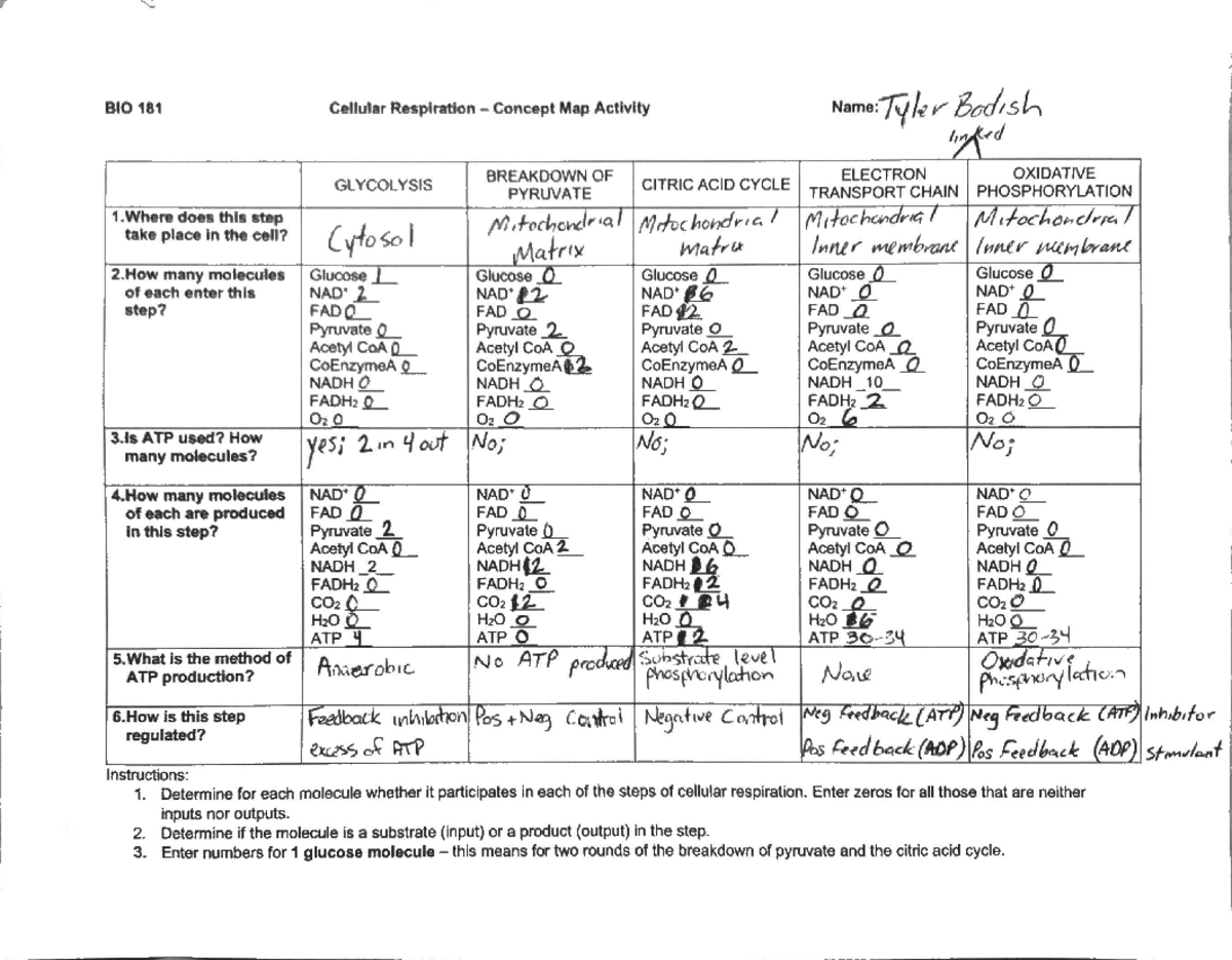 Concept map topic 11 BIO - BIO 181 - Studocu