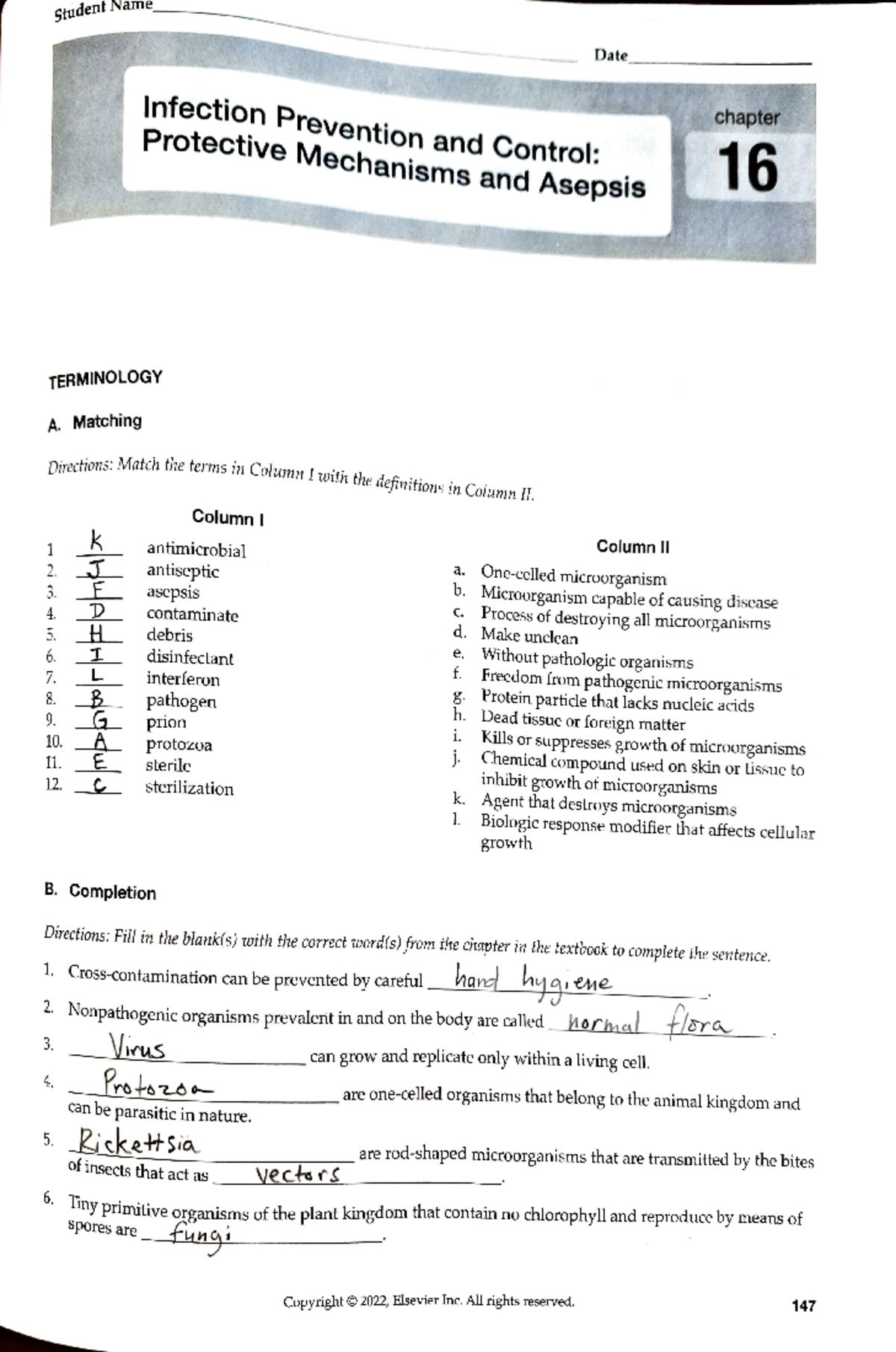 Ch16 Study Guide Fundamental of nursing 6th Williams - TERMINOLOGY A ...