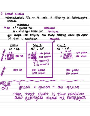 Genetics linkage - example ####### G B × G - B 30 MU 9 - b y (so 15% ...