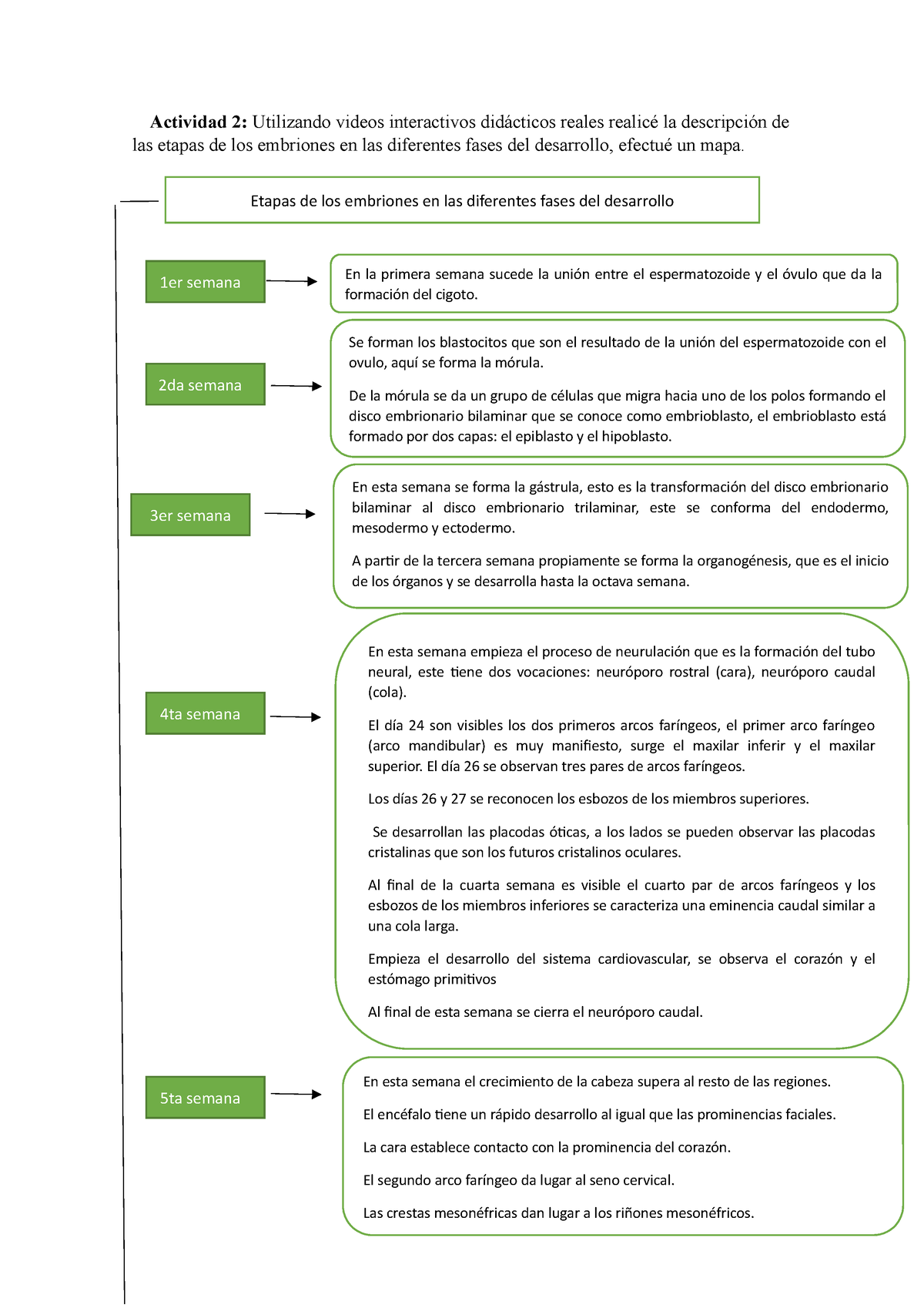 Actividad 2- mapa conceptual - Actividad 2: Utilizando videos ...