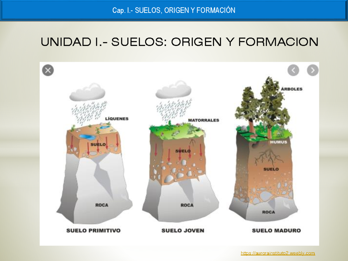 1. CAP. I Suelos, Origen Y Formación - aurorainstituto2.weebly UNIDAD I
