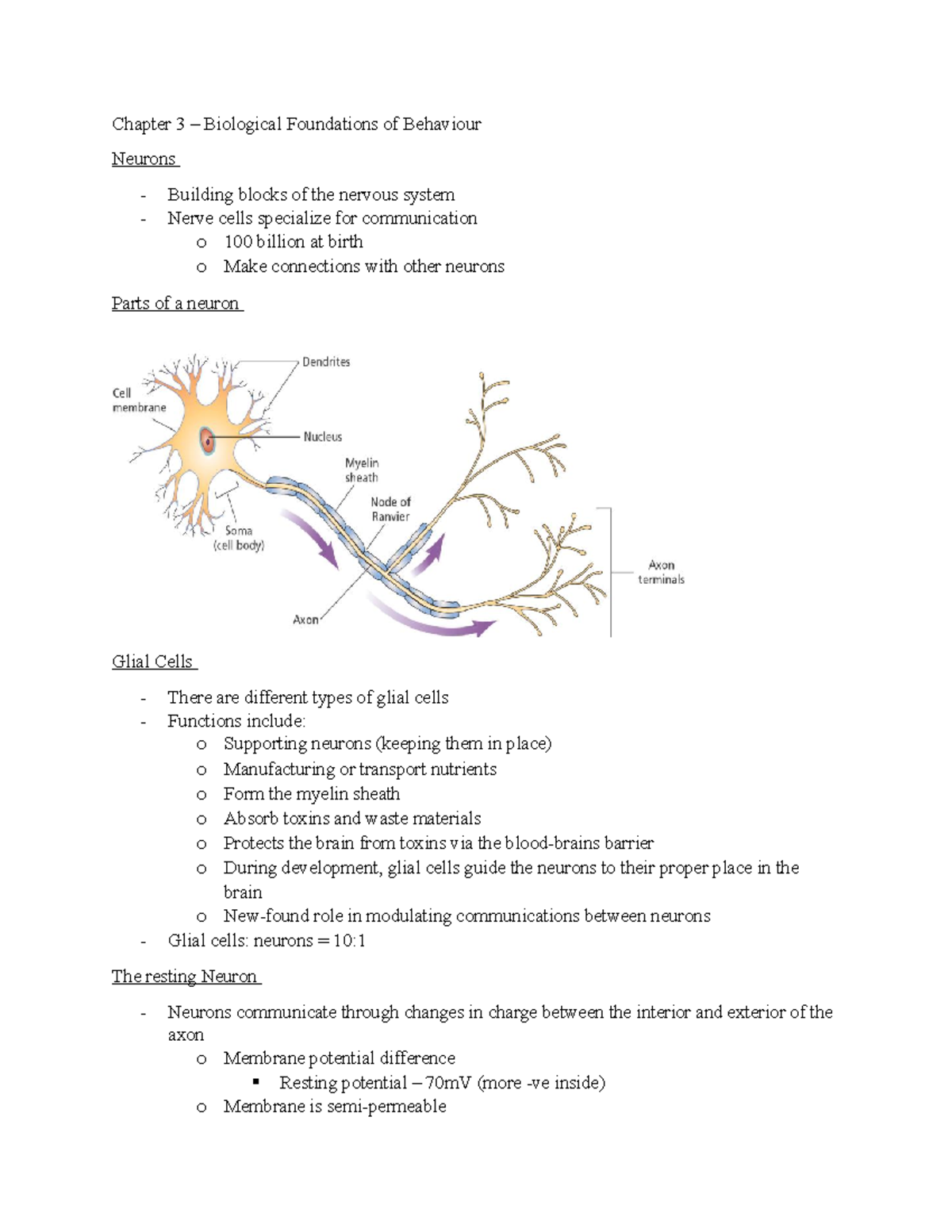 Chapter 3 - Chapter 3 – Biological Foundations of Behaviour Neurons ...