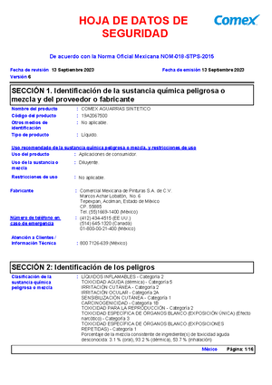 Pdf-respuestas-orientacion-en-prevencion-de-riesgos-achs-2024 compress ...